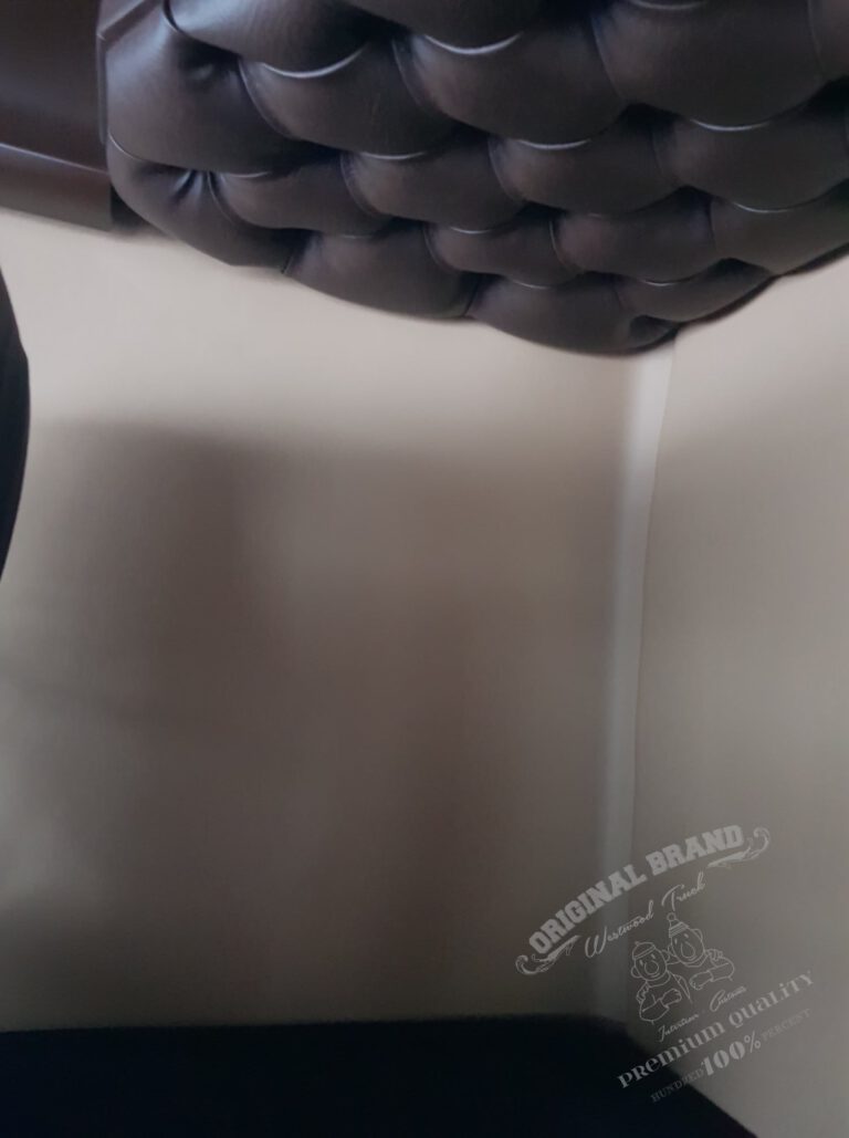 Holztransporte Dennis Piltz DAF XF SSC „100 % Satisfaction Guaranteed